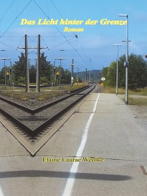 cover image of Das Licht hinter der Grenze